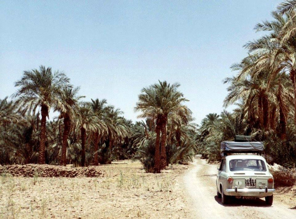 Fiat 850 in de Sahara